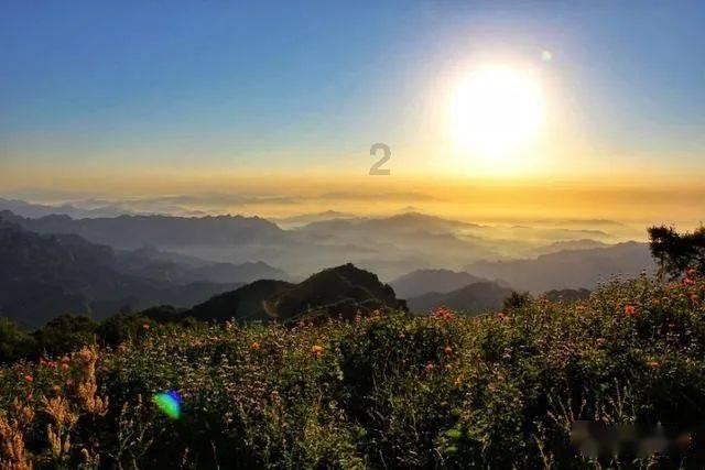 晋有二日,夏日烈阳,是为赵盾;楚国有鸟,一鸣惊人,那是熊旅