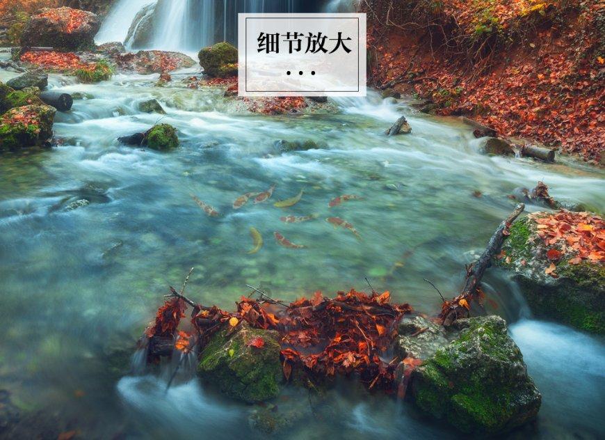 怪物大脚杯2